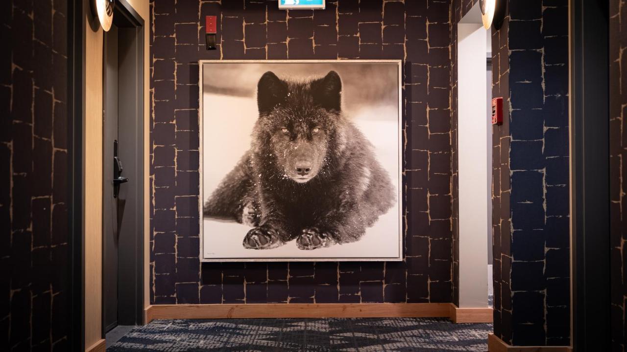 Mtn House By Basecamp Otel Canmore Dış mekan fotoğraf