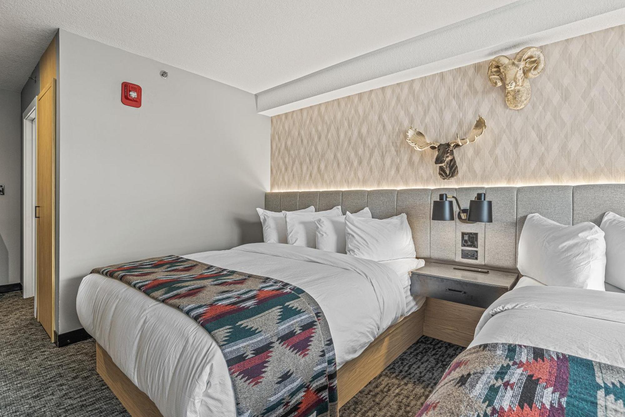 Mtn House By Basecamp Otel Canmore Dış mekan fotoğraf