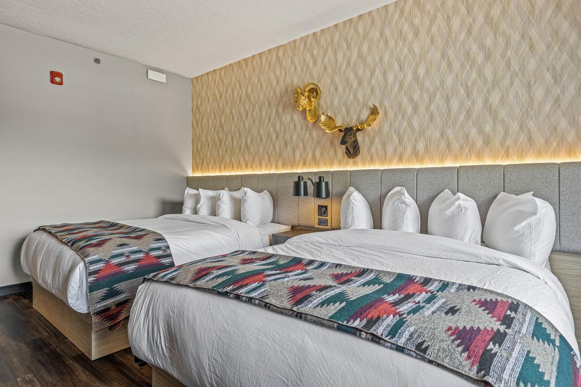 Mtn House By Basecamp Otel Canmore Dış mekan fotoğraf
